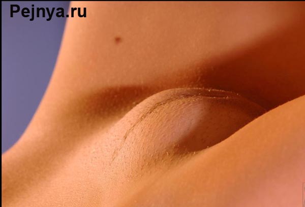 Эротика XXX